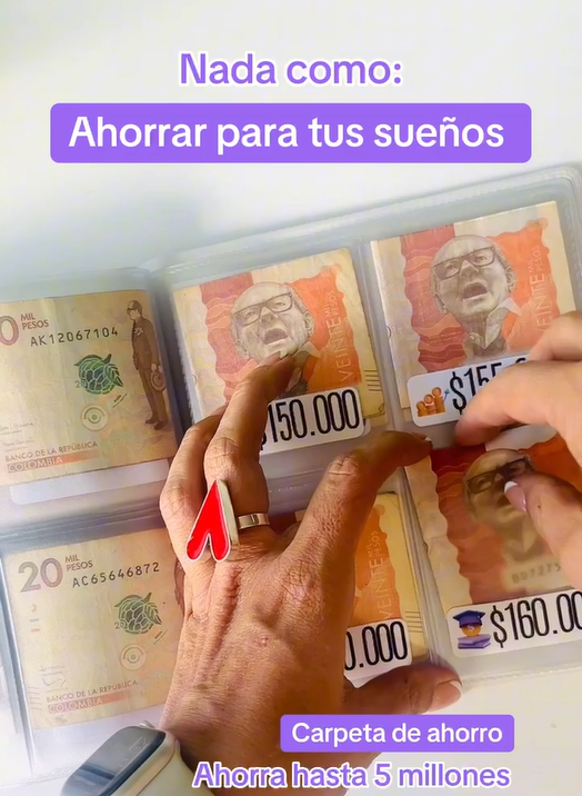 CARPETA DE AHORROS